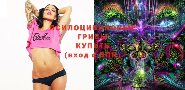 мдпв Нефтекумск