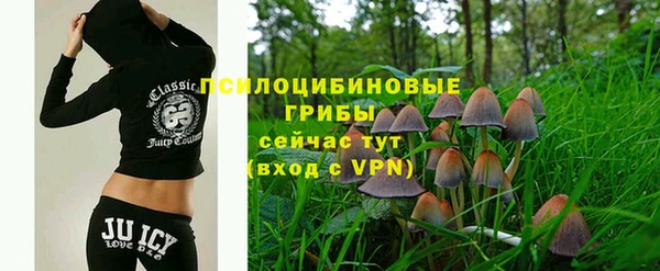 Альфа ПВП Нея