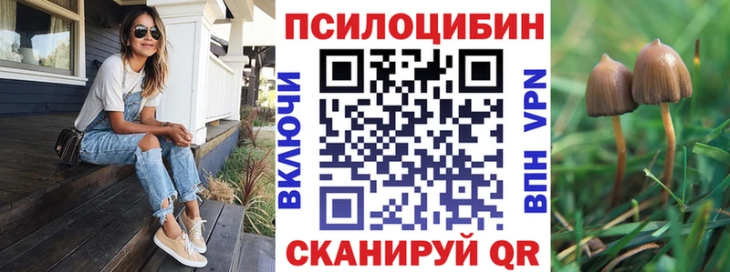 как найти   Тюкалинск  Галлюциногенные грибы Psilocybe 